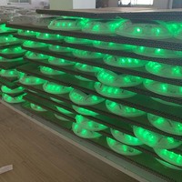 Precio intermitente Stud Road Panel Ip68 Marcadores de plástico Led Energía solar Cat Eye Road Stud Light