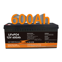 Batterie solaire LiFePO4 à décharge profonde en stock UE (Pologne) 12V 100Ah 200Ah 300Ah 24V 230Ah, batterie lithium-ion avec BMS intelligent pour système solaire