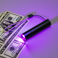 Senter UV Mini 395nm, Dapat Diisi Ulang via USB, Lampu UV untuk Mendeteksi Urine Hewan Peliharaan dan Sidik Jari Uang Kertas