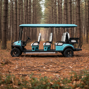 Voiturette de golf électrique au lithium personnalisable 8 places 72 V de qualité supérieure avec personnalisation gratuite de la couleur et du logo pour usage en station balnéaire ou à domicile - Product Image 6