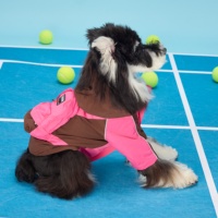 Fabricant de vêtements pour animaux de compagnie en gros, veste pour chien, vêtements personnalisés OEM ODM, vêtements d'été respirants, légers, anti-insectes, en nylon pour l'exercice