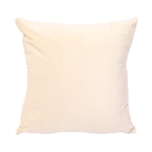 Wholesale Super <strong>Green</strong> Soft Velvet Pillow Cover Solid Color Polyester <strong>Sofa</strong> <strong>Cushion</strong> for Farmhouse Room Couch Decoration - Product Image 4