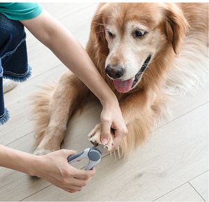 Meilleure vente de coupe-ongles professionnels pour animaux de compagnie, accessoires pour animaux de compagnie, sécurité nette pour chat et <span class=keywords><strong>chien</strong></span>, coupe-ongles avec lime à ongles gratuite - Product Image 3