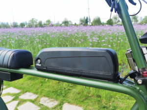 Bicicleta Eléctrica <span class=keywords><strong>2021</strong></span> Power Long Seat, Modelo Retro con Motor Trasero de 250w, Bicicleta Eléctrica 73 - Product Image 6