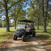 Vente directe d'usine, voiturette de golf électrique 6 places, batterie 60V verte et économe en énergie, certifiée CEE