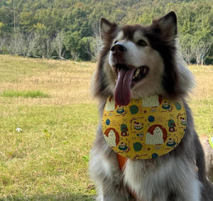 Adjustable Pet Bib with Cartoon Print for Small & Medium Pets - Product Image 4