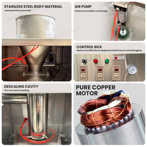 Machine à peler l'<span class=keywords><strong>ail</strong></span> de petite taille, 30 <span class=keywords><strong>kg</strong></span>/h, pour retirer la peau, <span class=keywords><strong>prix</strong></span> abordable - Product Image 5