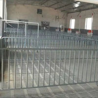 Caisses de mise bas de porcs galvanisées de lit de gestation de truie de haute qualité
