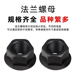 Tuercas de Acoplamiento Hexagonales con Arandelas y Placas de Corte de Flange para Medios Agresivos M8 M10 M12 M14 M16 M20 M22 M24 Mejoradas - Product Image 3