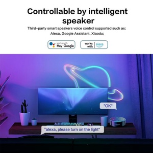 Customizable RGB Neon <b>LED</b> Interior Strip Light Interior Lighting for Interior <b>LED</b> Light - Product Image 3