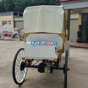 Carruaje Eléctrico Blanco para Paseos Turísticos, Carruaje de Caballos para Bodas, Carruaje de Caballos Personalizado para Paseos Turísticos, Transporte Especial - Product Image 6
