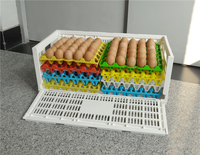 Plateau à Œufs en Plastique Recyclable pour 30 Œufs, pour Ferme Avicole et Poulailler – Caisse à Œufs en Plastique