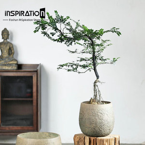 Sang Trọng Ưa Thích Màu Xanh Lá Cây Nhà Máy Nồi Bền Lớn Sợi Đất Sét Xi Măng Chậu Hoa & Trồng Nồi Cho Trồng Cây Và Hoa - Product Image 4