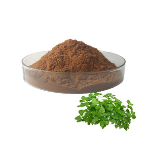 Extracto de bálsamo de limón, certificado ISO9001, 10:1, Melissa Officinalis PE - Product Image 1