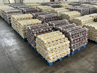 Rouleaux de tissu sergé d'usine, tissu microfibre 100% brossé uni à prix abordable pour draps, textiles de maison et hôtels