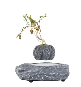 Pianta di pirolisi in Terracotta albero naturale cina Mini vasi levitazione magnetica Bonsai in resina ad aria galleggiante