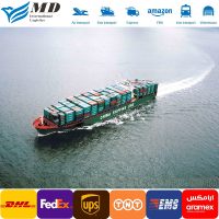 Agente de transporte aéreo/marítimo internacional de China a EE. UU./Europa
