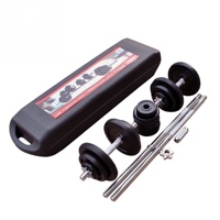 Mancuernas Ajustables de 25 kg para Entrenamiento de Brazos, Gimnasio, Barra con Pintura Negra, Juego de Mancuernas de 50 kg