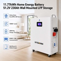 Batterie domestique Hysonn 11,77 kWh 51,2 V 230 Ah murale LFP pour villas solaires, revendeurs et acheteurs de projets OEM
