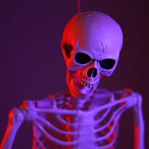 ハロウィンホラー全身骨格模型小道具お化け屋敷装飾パーティー大型人間模型165cm装飾用 - Product Image 4