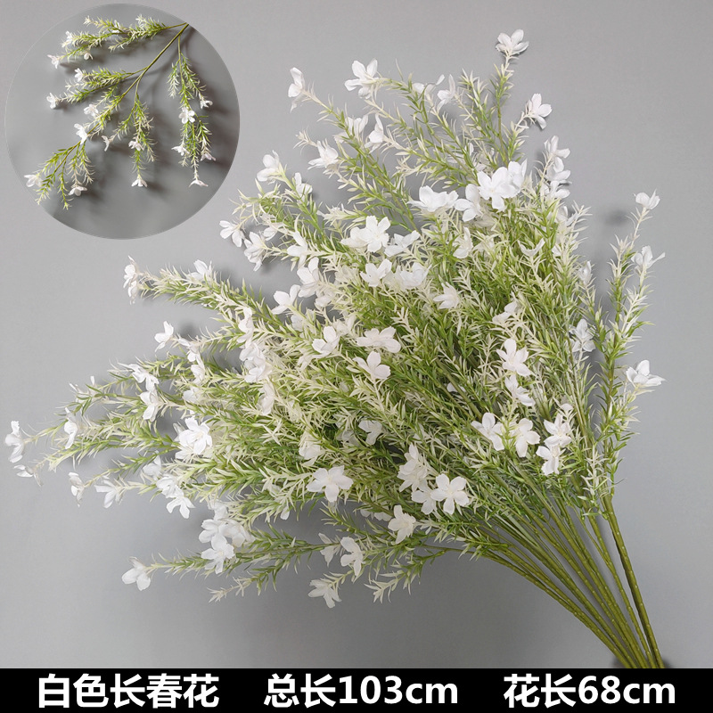 Pervenche blanche
