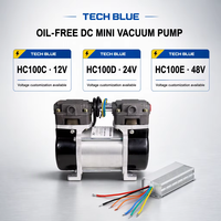 Haute qualité 150W sans huile DC12V Mini pompe à vide HC100D compresseur à piston pour l'usinage de la source d'alimentation