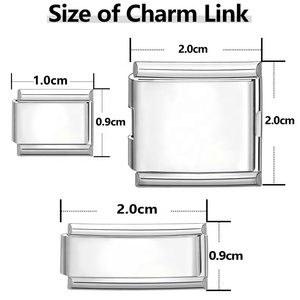 Cross-border Basic-style Trendy Italian-style New Chinese-inspired Electroplated Stainless Steel Detachable High-end Bracelet - Product Image 2