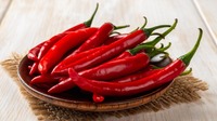 High Quality Vietnam Fresh Red Chili 3-6cm 30kg/pack Best Price Wholesale for Food Use Raw Processing Spicy Taste