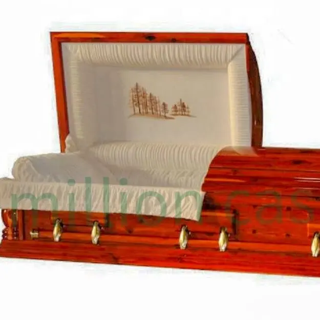 Cedar furnier holz casket design innen