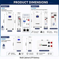 Batterie LFP Hysonn 51,2 V pour armoire murale, alimentation d'usine, pour stockage solaire hybride, sauvegarde domestique et projets, vente en gros, OEM