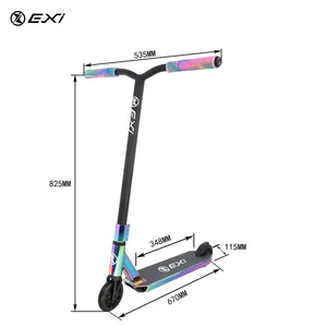 Vendita calda colore personalizzato 2 ruote Stunt Scooter Kick Scooter 100% alluminio Pro Kick Scooter