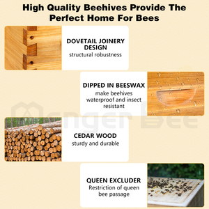 Kit complet de ruche Langstroth 10 cadres, 2 boîtes profondes + 2 boîtes moyennes, en bois de cèdre enduit de cire d'abeille, avec cadres - Product Image 2