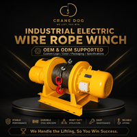 Treuil hydraulique électrique 3T pré-lubrifié sans entretien pour environnements difficiles, utilisation marine, avec câble en acier inoxydable pour grues