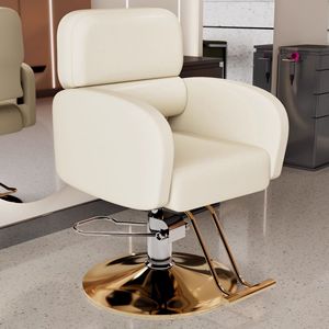Sedia da Parrucchiere Professionale con Base Dorata Moderna, Vendita all'Ingrosso - Product Image 1
