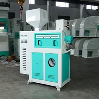 Machine de polissage du riz industrielle RongLiang à faible taux de bris, ensemble complet pour usine de traitement du riz blanc 1,0-8,0 T/H