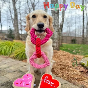 Прочная хлопковая веревка, игрушка для жевания собак, новый дизайн, цепочка сердца для чистки зубов, устойчивый стиль, милая форма костей, День святого Валентина - Product Image 4