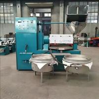 Presse à huile automatique mini avec moteur et engrenage en acier inoxydable 304, usage commercial pour huiles pressées à froid