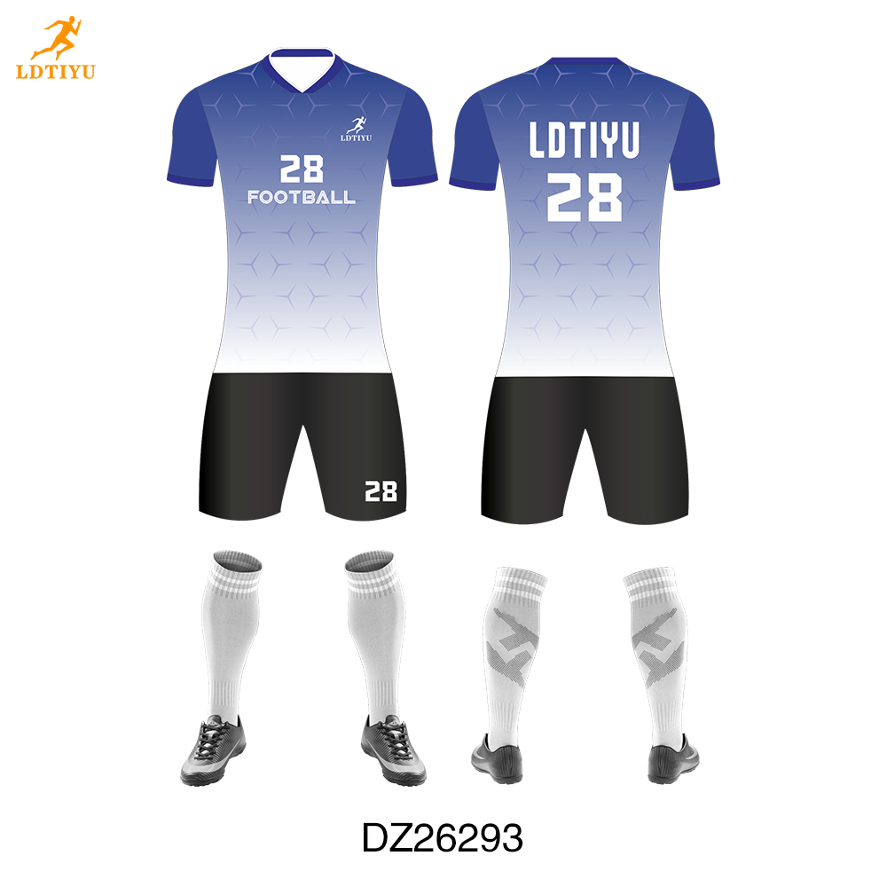 DZ26293