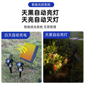 Lampe solaire à double tête pour cour extérieure, projecteur de pelouse à montage au sol, éclairage <span class=keywords><strong>LED</strong></span> <span class=keywords><strong>extérieur</strong></span> à commande par capteur de lumière pour jardin, vente en gros - Product Image 2