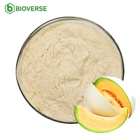 Bioverse Vente en gros de poudre de melon miel naturel, poudre de jus de fruit, poudre de cantaloup