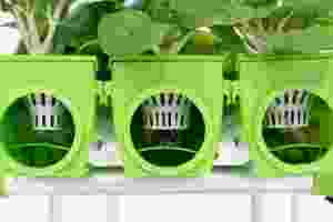 Kit d'agriculture de serre aquaponique hydroponique avancée système de culture de Pot de plante économique intérieur extérieur légumes herbes - Product Image 4