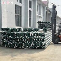 Cishine Poste de Lámpara Exterior Galvanizado de 6m, 7m, 8m, 9m, 10m, 12m, con Brazo Doble/Simple, Solar, Cónico, Octagonal, de Acero, para Alumbrado Público - Precio