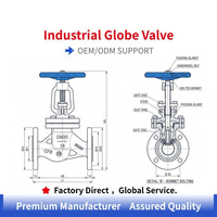 Válvula de Globo Manual con Brida DN15 DN200 de 2-8 Pulgadas, Vástago Ascendente, Actuador Eléctrico/Neumático Opcional, Válvula Industrial CE ISO
