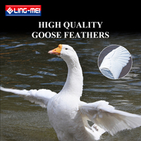 LINGMEI-90PRO BWF Fabricant Tournoi Niveau Grade Super Classe Plume D'oie Badminton Volant pour Tournoi