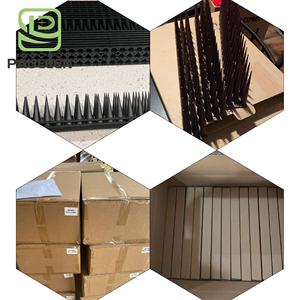 Fabricant de pointes <span class=keywords><strong>anti</strong></span>-oiseaux bon marché en plastique pour mur extérieur répulsif pour oiseaux pointes <span class=keywords><strong>anti</strong></span>-oiseaux - Product Image 6
