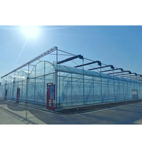 Serre agricole multi-travées à structure en acier de grande taille avec des largesurs de 8m/10m/12m pour la production agricole commerciale