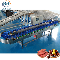 Continue werkende doosvormige gewichtssorteermachine Betrouwbare weegmodule voor het sorteren van fruit, noten en zeevruchten in batches