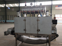 Portable nouveau Type ligne complète de processeur de peau d'ail séparateur d'ail sec Machine moteur noyau composant commerce propre Machine