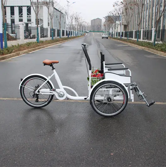 elektroantrieb e-pedicab rikscha hersteller dreiräder dreirad motorrad