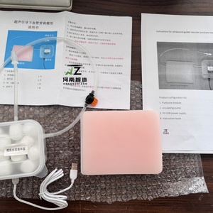 Modelo de Punción Vascular para Ciencias Médicas, Modelo de Punción Vascular Guiada por Ultrasonido para Enseñanza y Entrenamiento - Product Image 3